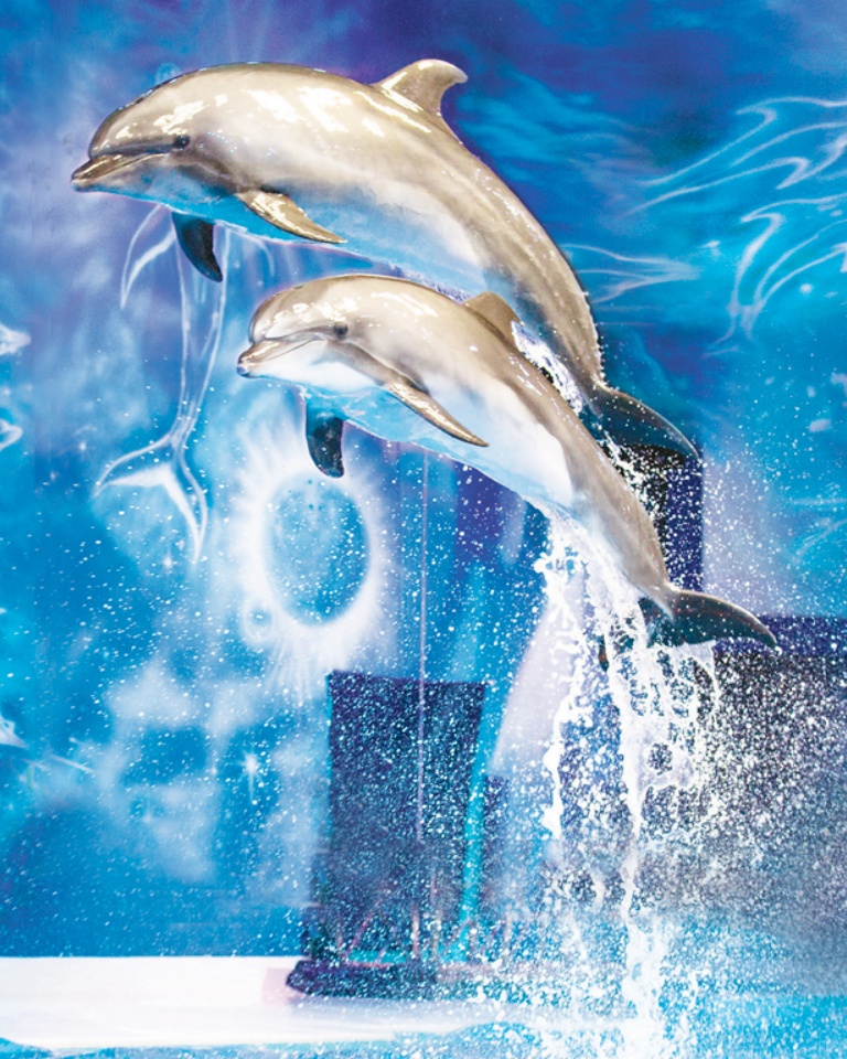 Dubai Dolphinarium