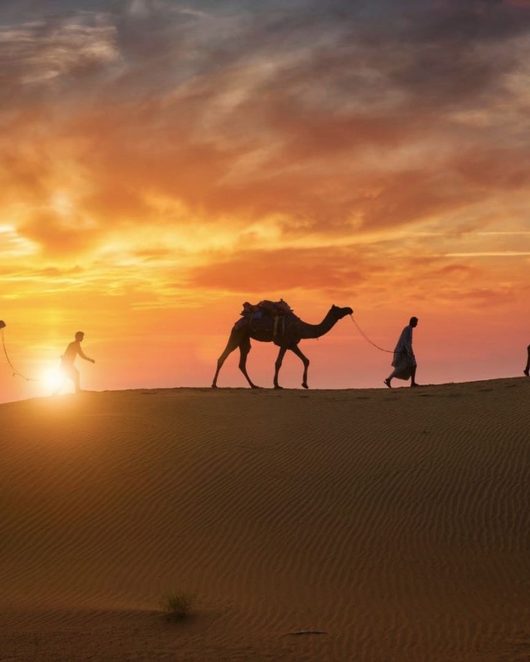 Evening Desert Safari